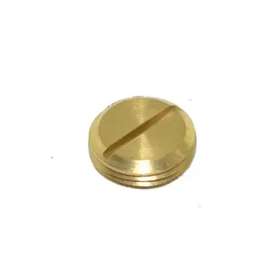 ITCC - Stopping Plug, Slotted Head, Brass, 20mm