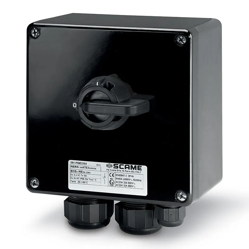 SCAME - Enclosed Switch Disconnector, 20A, 2P, IP66, 160x160x90mm, EX "GD", II 2GD, General, GRP, Grey