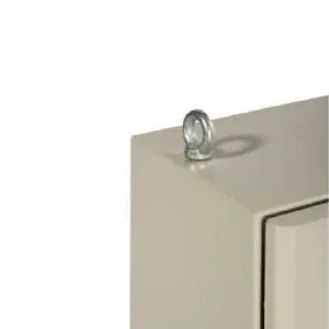 شنايدر - إكسسوار لوحة خدمة - SWM SET OF 2 EYES BOLT M8